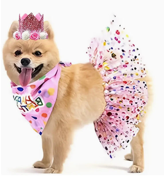 Happy Birthday Cutie