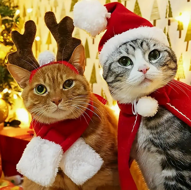Kittie Christmas