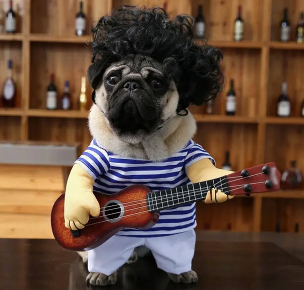 Critter Costime "Elvis"