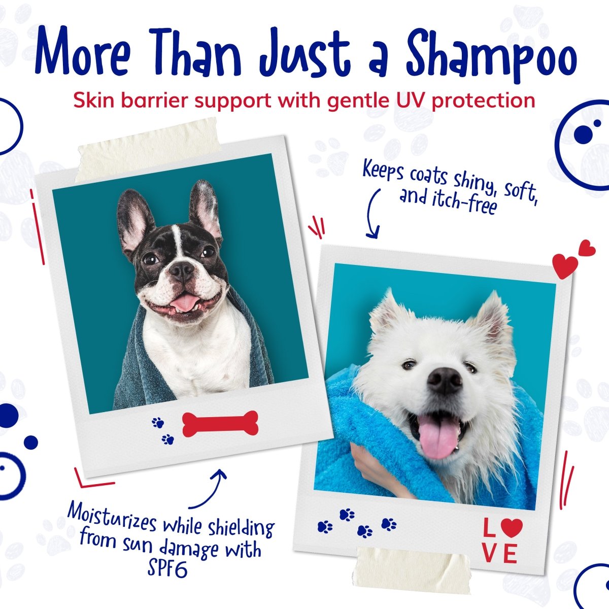 Best Dog Shampoo Itchy Skin Relief - Critter Concepts