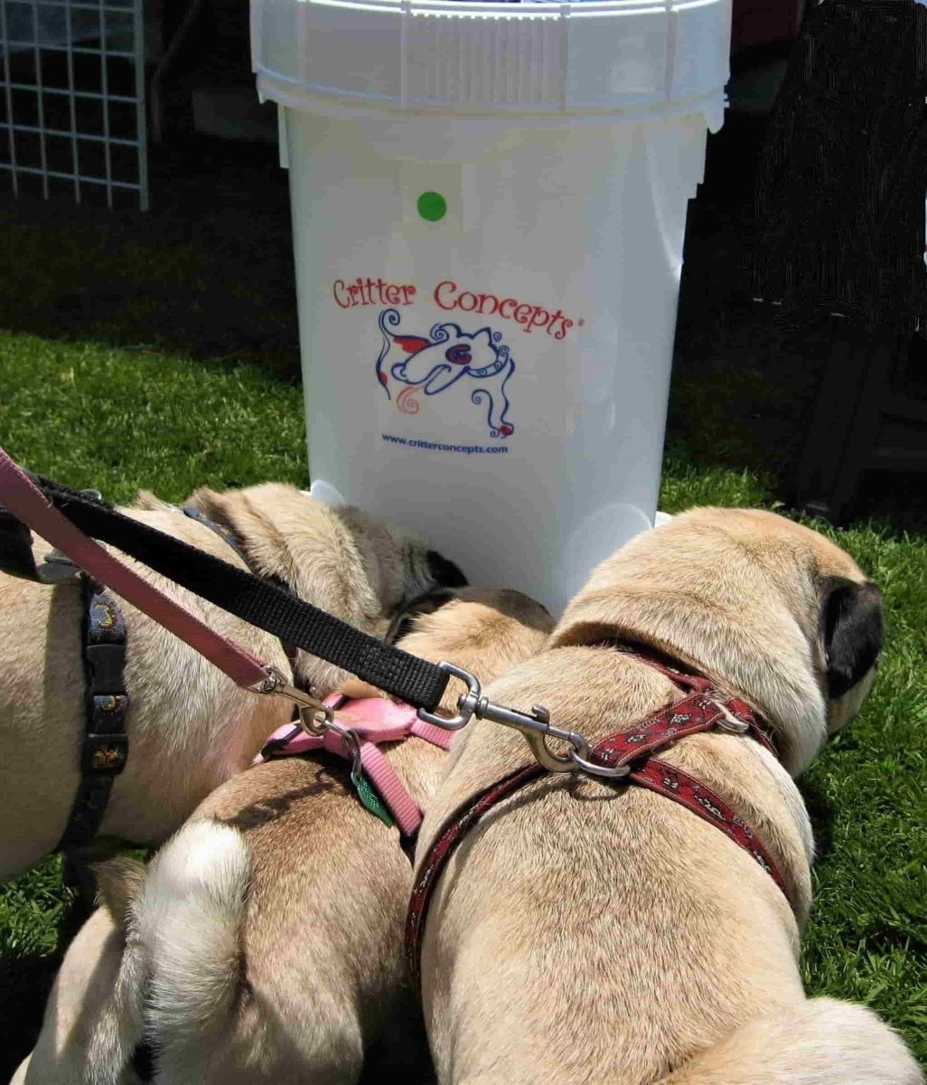 Large Pet Water Dispenser - Critter Concepts