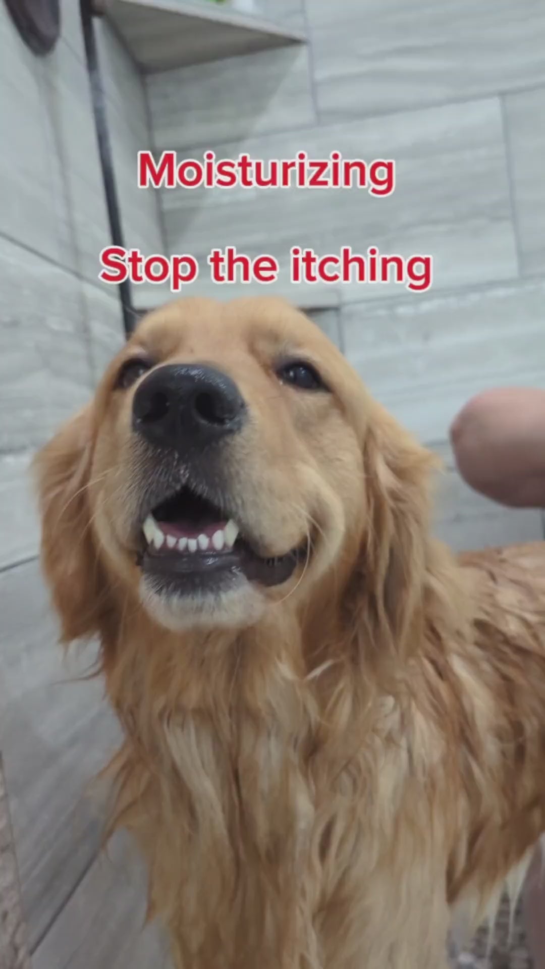 Shampoo Join Brands Good