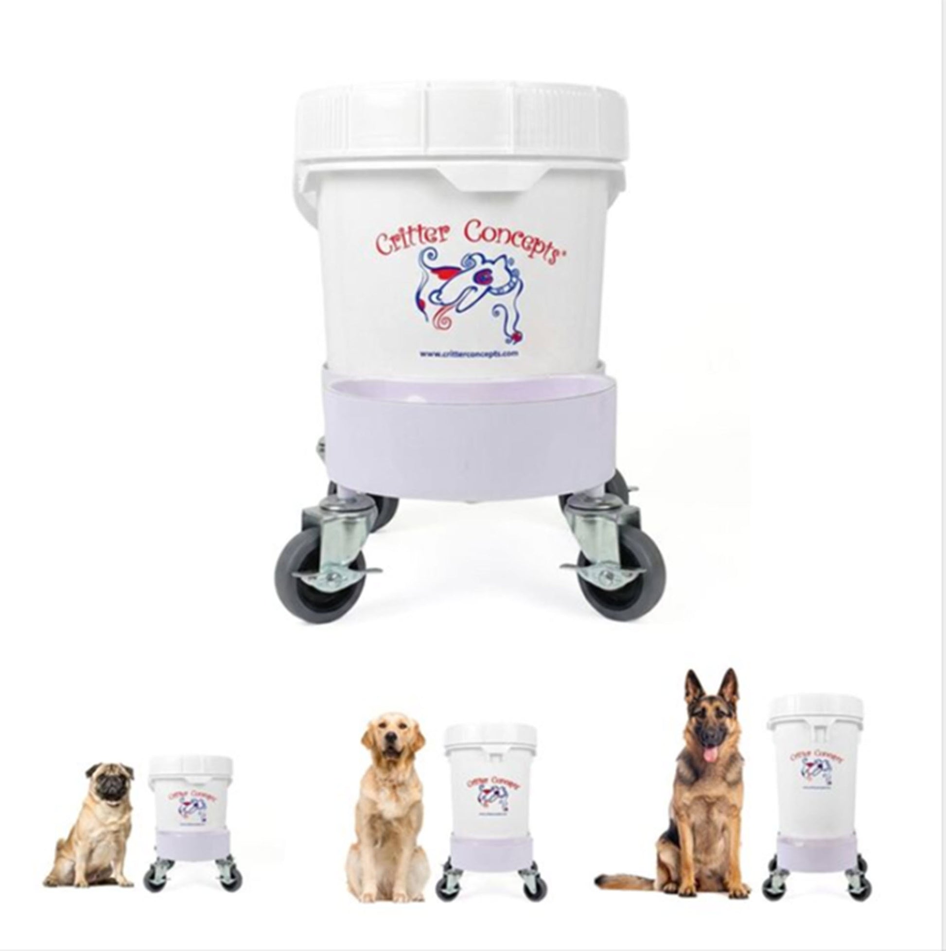 raised dog feeder
