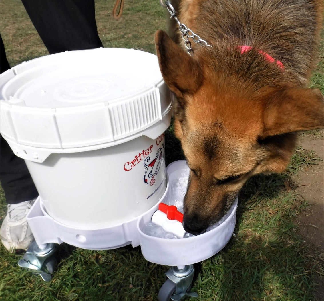 3.5 gallon dog water system for everyday indoor use