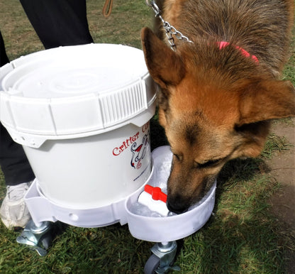 3.5 gallon dog water system for everyday indoor use