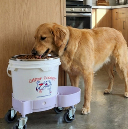 Elevated Feeding System for Medium to Large Dogs