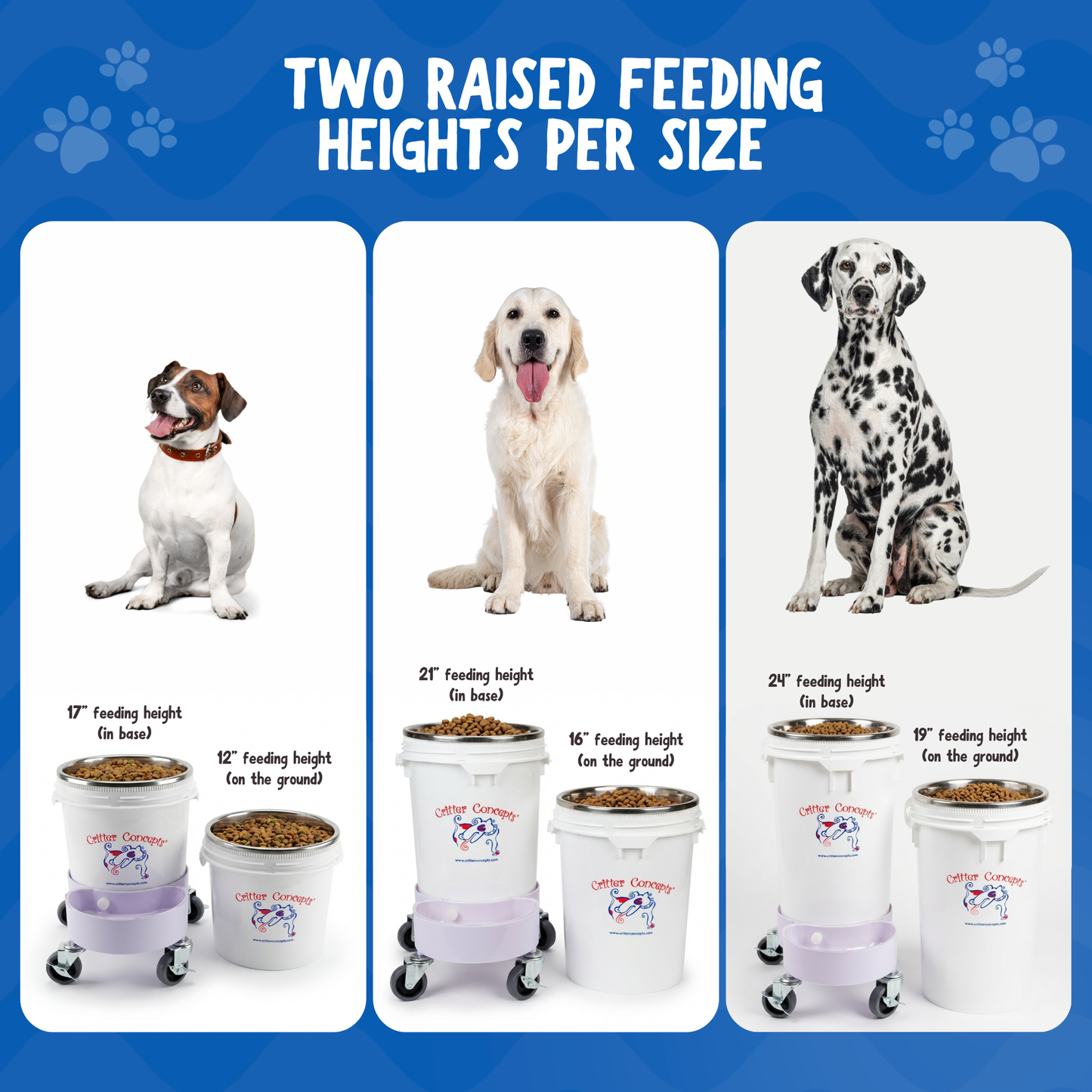 Elevated Feeding System for Medium to Large Dogs