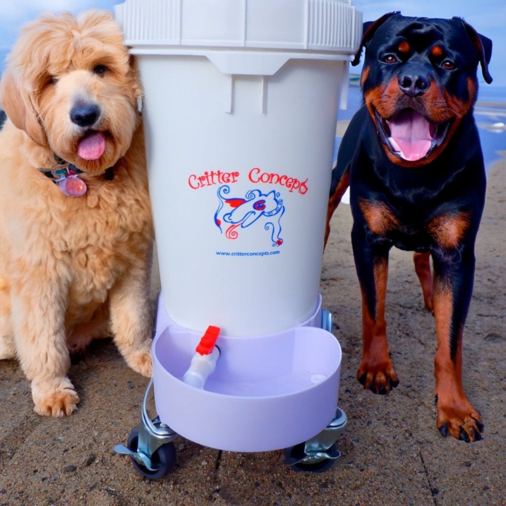 outdoor dog water station gravity-fed container