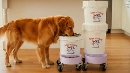 Sealed Storage That Keeps Food Fresh and Your Space Clean