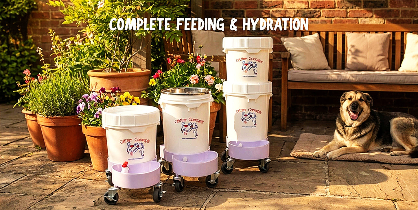 Sealed Storage That Keeps Food Fresh and Your Space Clean