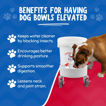 Benefits for having dog bowls elevated