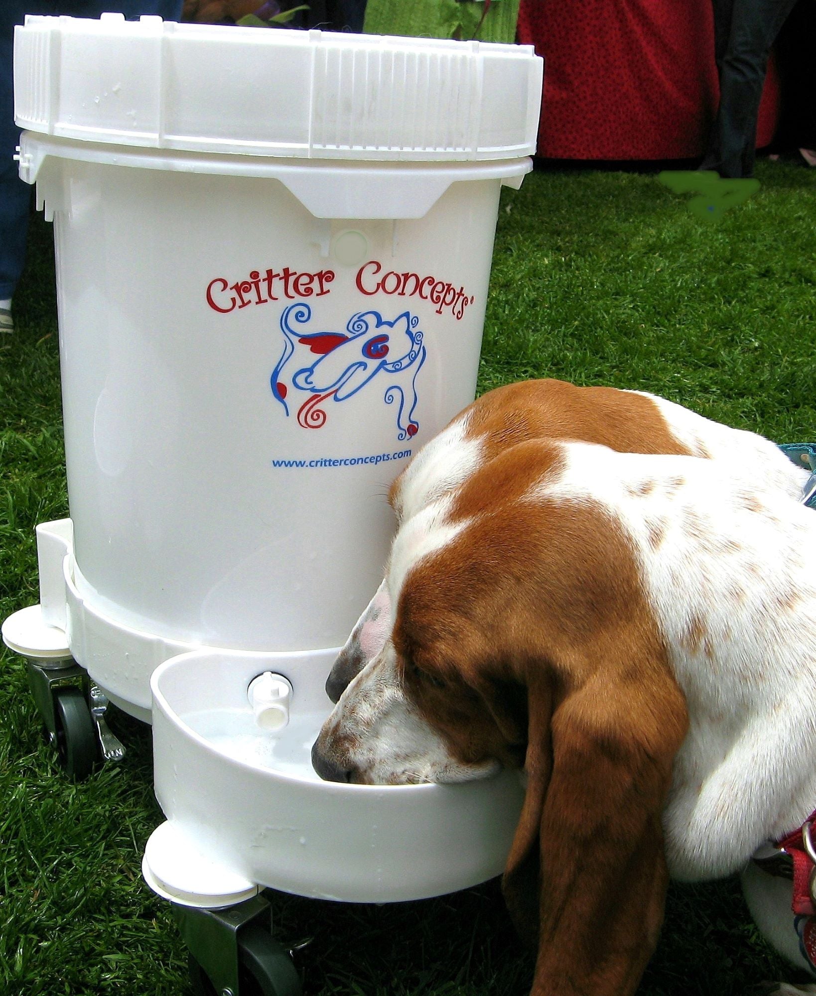 medium capacity automatic dog waterer multi-dog household