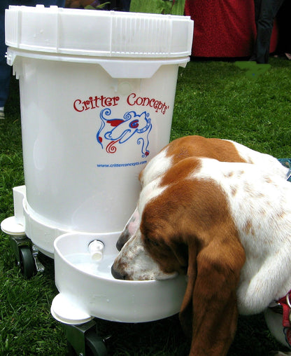 medium capacity automatic dog waterer multi-dog household
