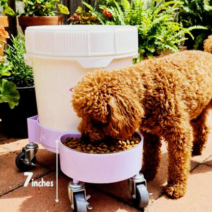 elevated dog bowl feeder