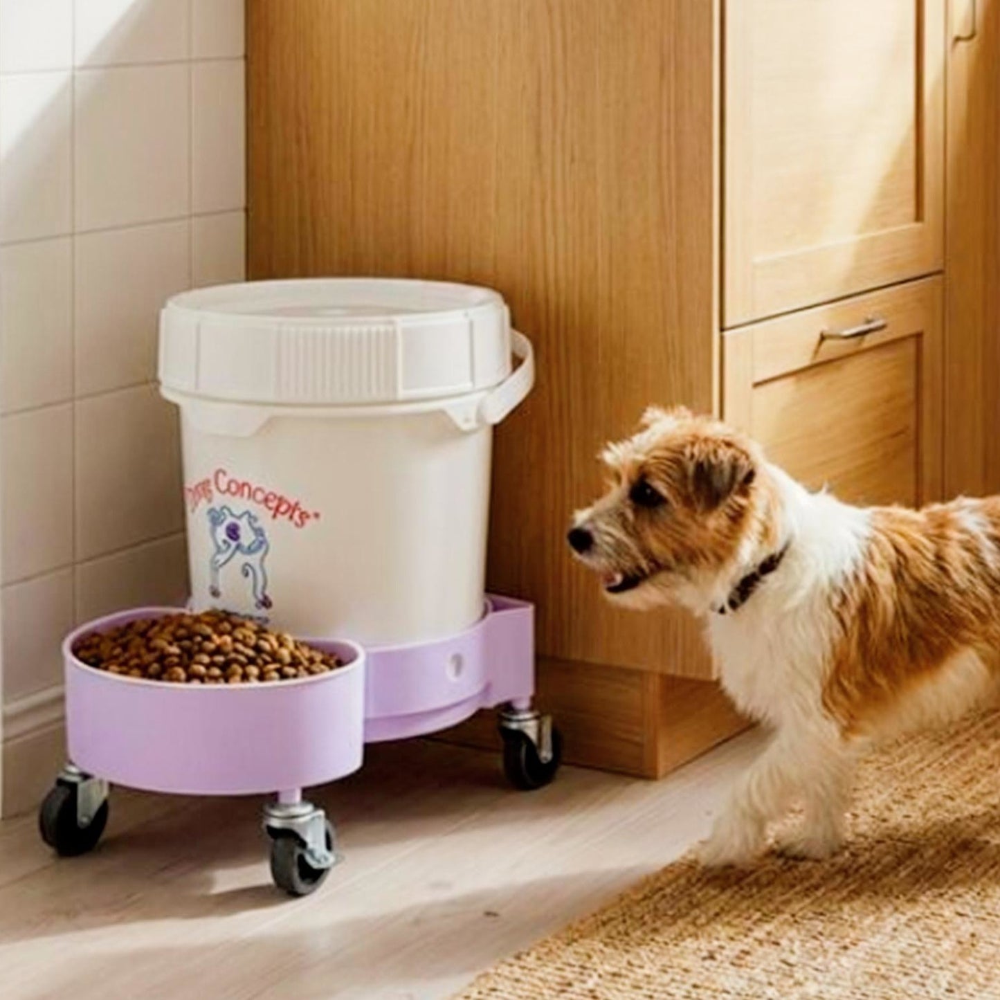 dog feeder with storage