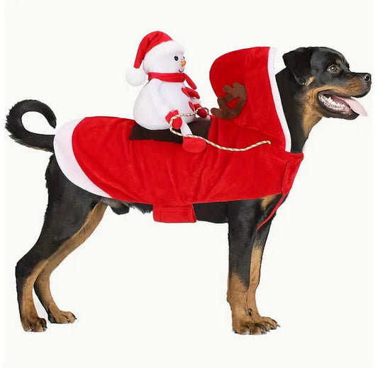 Your dog wanted to be a reindeer