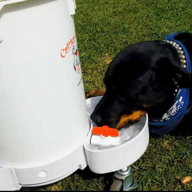 6.5 gallon dog waterer for large breeds