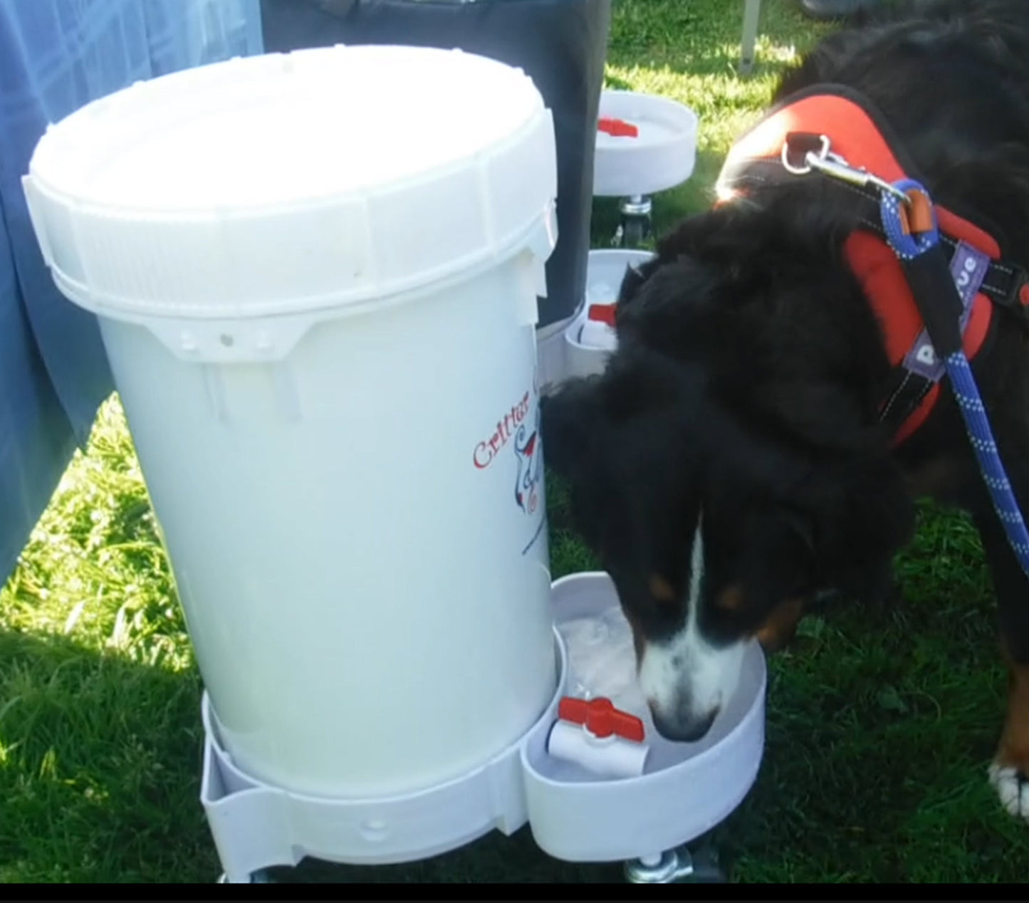 outdoor automatic dog water dispenser large capacity