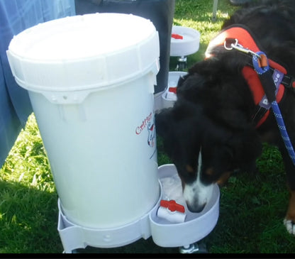outdoor automatic dog water dispenser large capacity