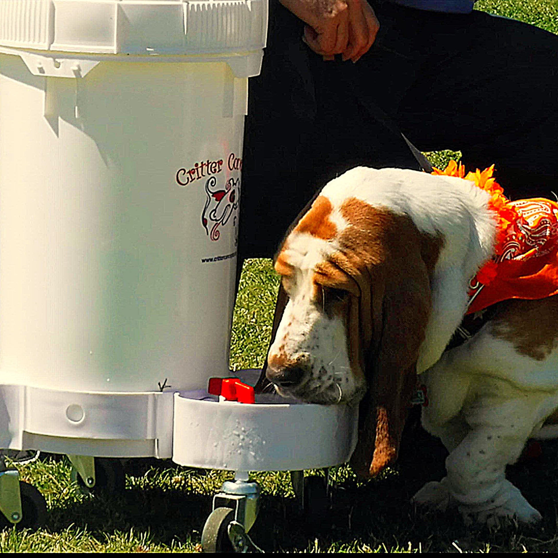 large pet hydration system extended use