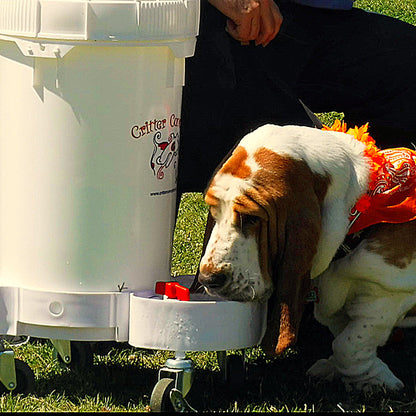 large pet hydration system extended use