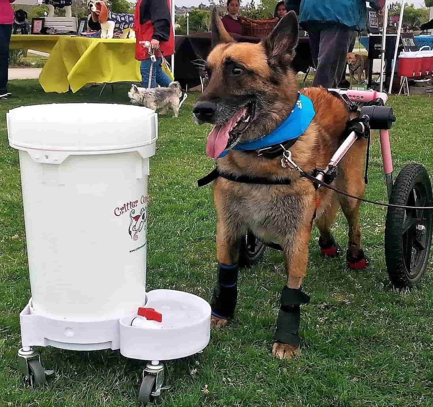 heavy duty dog water system backyard use