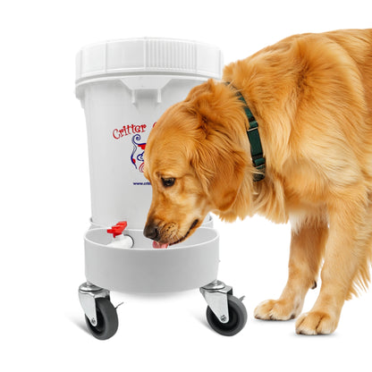 5 gallon dog water dispenser home use setup