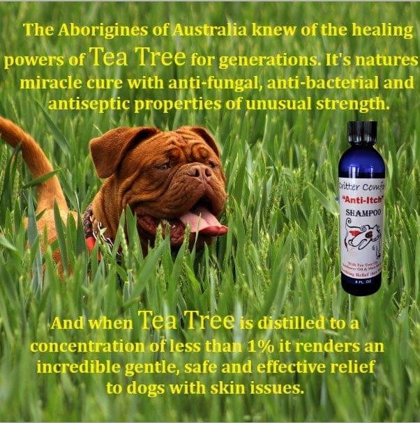 Best Natural Dog Shampoo for Smelly Dogs with Dry Itchy and Sensitive Skin with Tea Tree - Critter Concepts