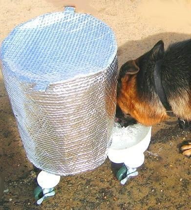 Keep your Dog's Water Bowl Cool in the Heat - Critter Concepts